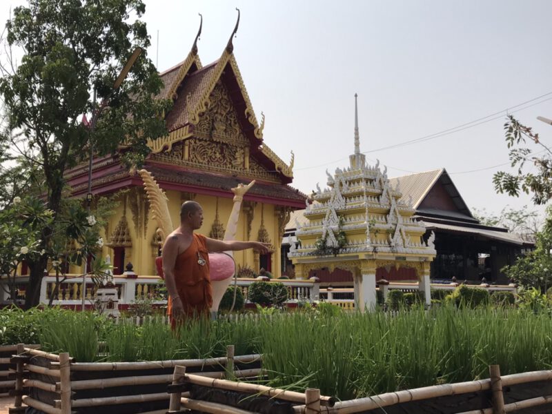 พช. หนองเรือ จ.ขอนแก่น น้อมนำตามหลัก บวร ขับเคลื่อนการพัฒนาชุมชน ปลูกผักสวนครัว เพื่อความมั่นคงทางอาหาร