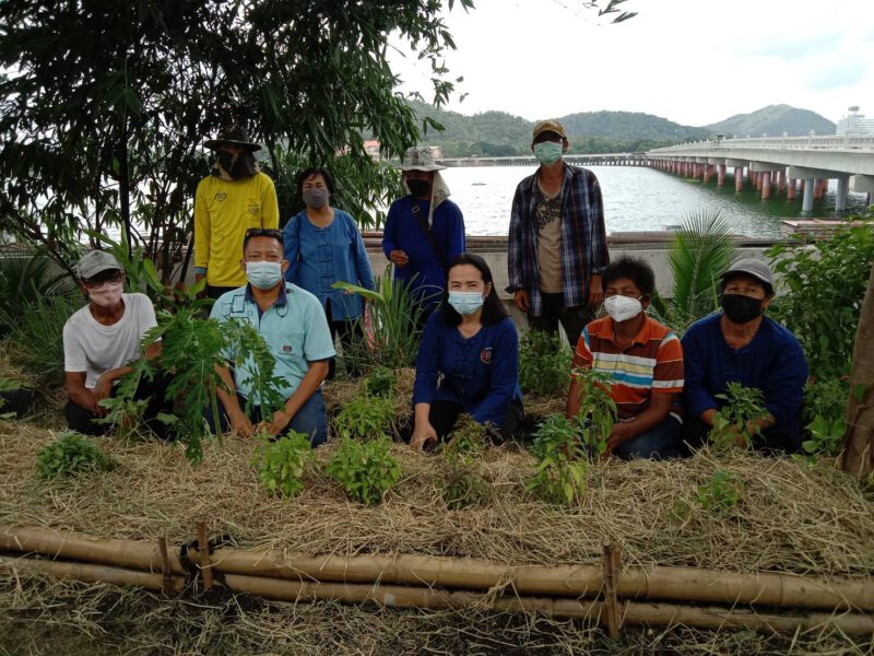 สระบุรี   ผู้บริหารจังหวัดปลื้ม ปฏิบัติการ 90 วัน ชวนพช.ปลูกผักสวนครัว เพื่อสร้างความมั่นคงทางอาหาร เฟส 2