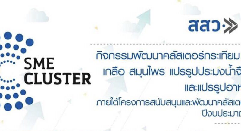 สสว. ร่วมกับสถาบันอาหาร รับสมัครผู้ประกอบการ กิจกรรมพัฒนาคลัสเตอร์ กระเทียม ทุเรียน เกลือ สมุนไพร แปรรูป