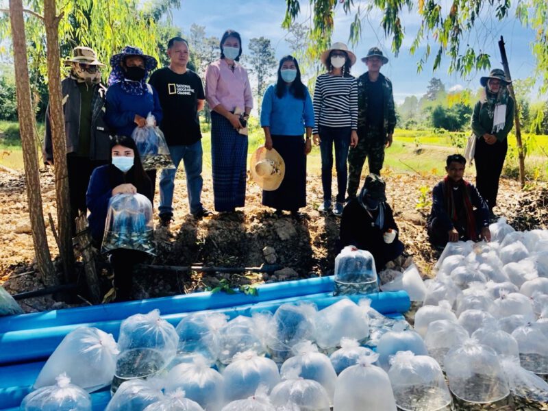 พช.อุบลฯ ผนึกกำลัง “บวร” ตรวจการขุดปรับพื้นที่ เพื่อขยายอาณาจักร “โคก หนอง นา พช.” บ้านโนนมะเขือ